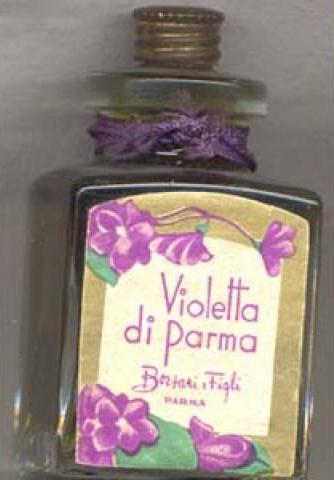 Violette di parma