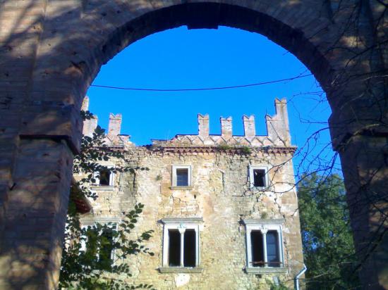 Castello di Zena foto Parco Museale (Miniatura 219x164 px)