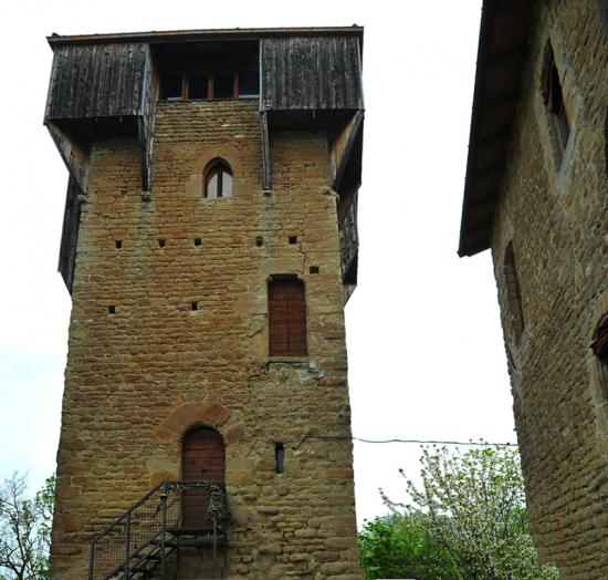 Torre dell'Erede (Miniatura 550x524 px)