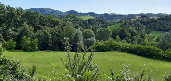 Val di Zena dal castello (A.G.) (Miniatura 550x262 px)