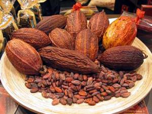 Frutto cacao (Miniatura 300x225 px)