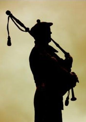 Piper (Miniatura 353x497 px)