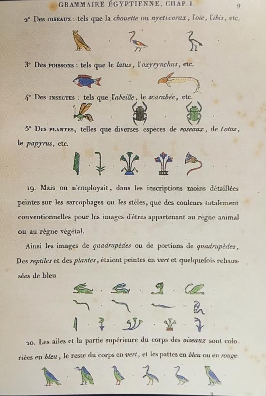 Opening of Champollion p.1 (Miniatura 219x325 px)