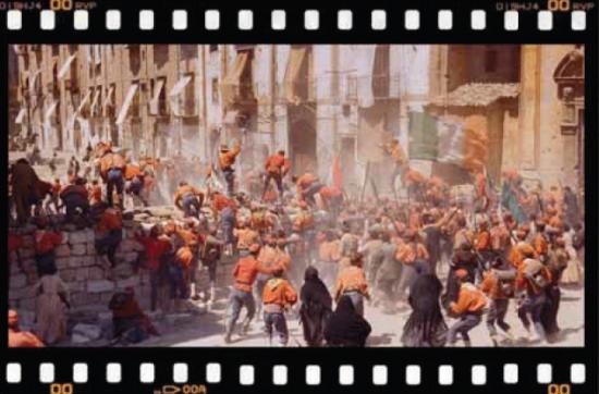 Gatto 8 (Miniatura 219x144 px)