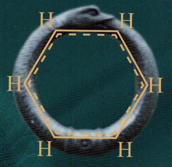 Uroboro e benzene (Miniatura 219x213 px)