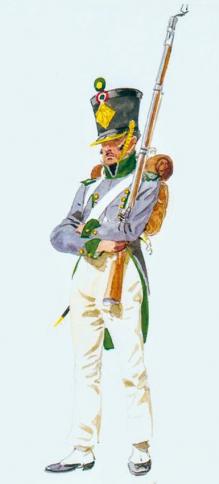 Battaglione coloniale, 1811 (Miniatura 219x484 px)
